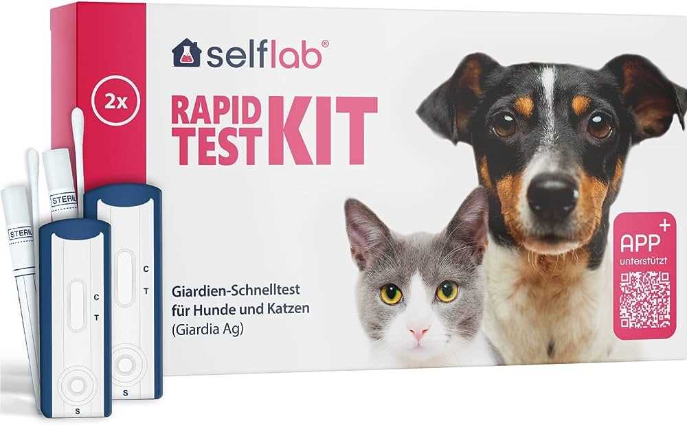 Wie alt ist meine Katze? Testen Sie das Alter Ihrer Katze