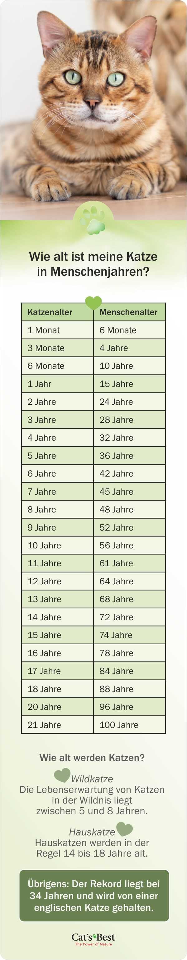 4. Sauberes und sicheres Umfeld