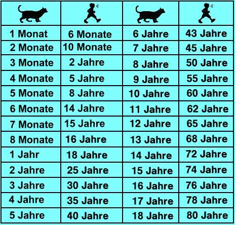 Tabellarische Übersicht über das Durchschnittsalter verschiedener Katzenrassen