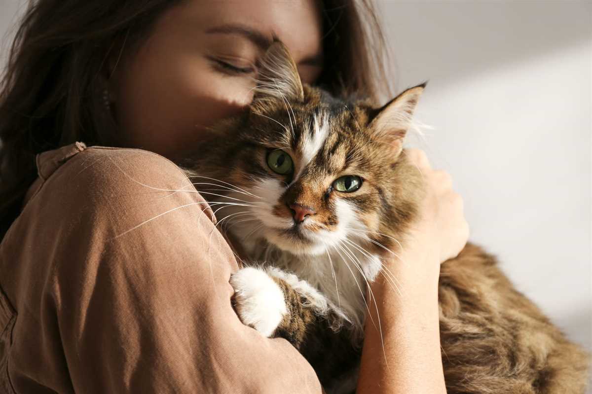 Verlauf der Corona-Infektion bei Katzen