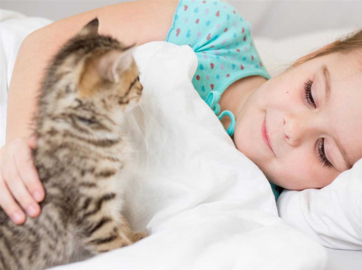 Wie man Katzen nachts ruhig bekommt: Tipps und Tricks