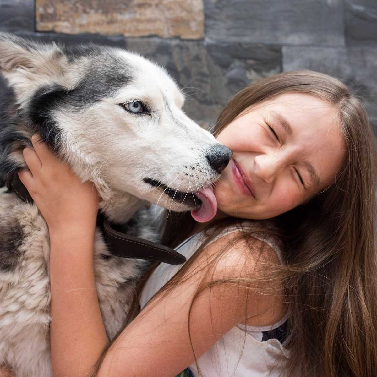 4. Vermeiden Sie es, Ihren Hund im Gesicht oder im Mund zu küssen