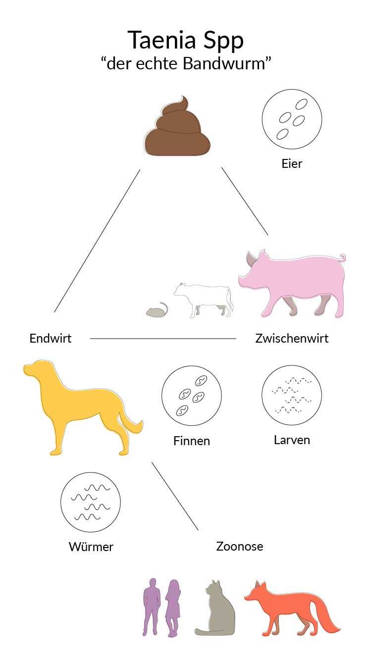 3. Veränderungen im Aussehen