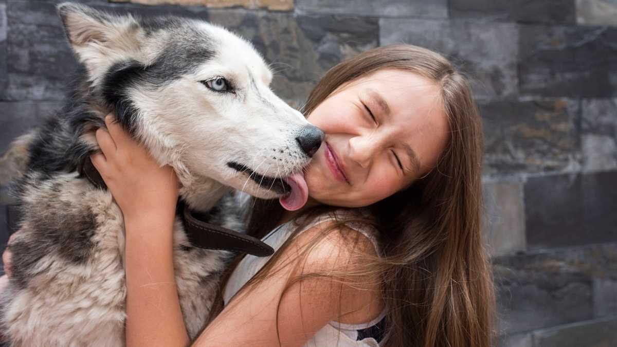 Wie gewöhne ich meinem Hund das Lecken ab: Tipps und Tricks