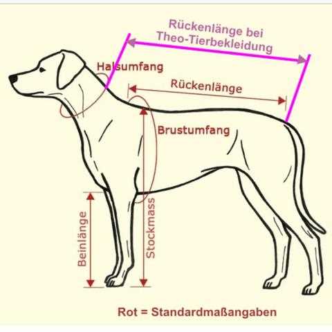 Regelmäßige Fütterungen