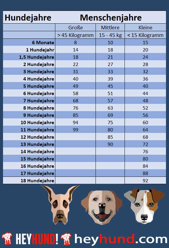 Wie groß wird mein Hund: Tabelle und Informationen