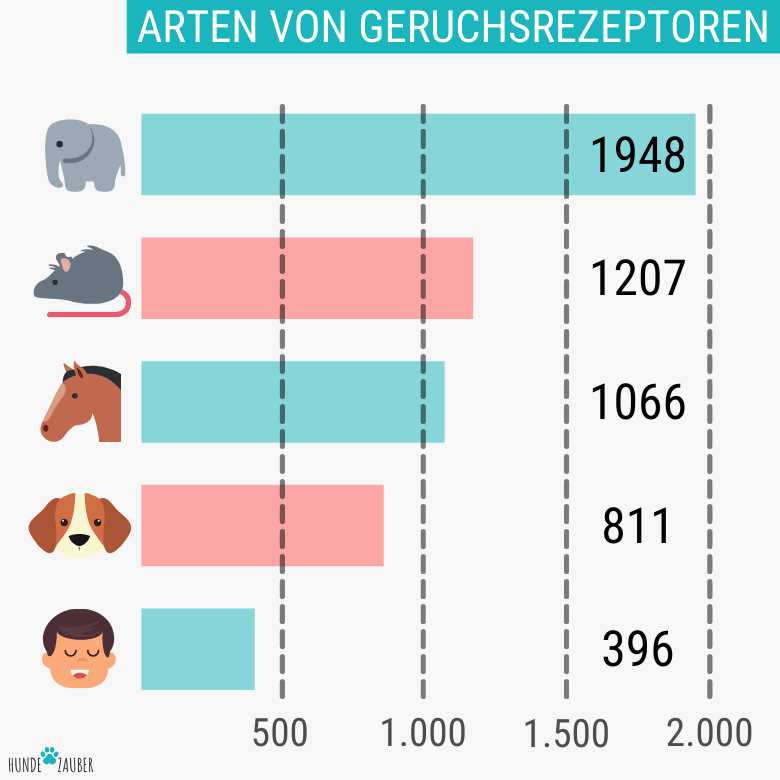 3. Filterung von Hintergrundgeräuschen