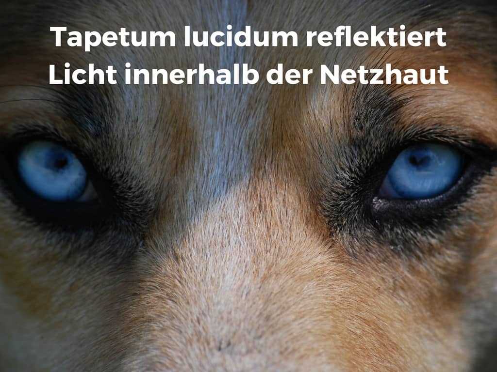 6. Vermeiden Sie übermäßigen Stress oder Angst