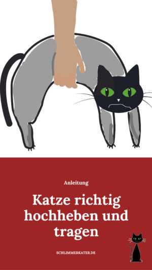 Katze unterstützen