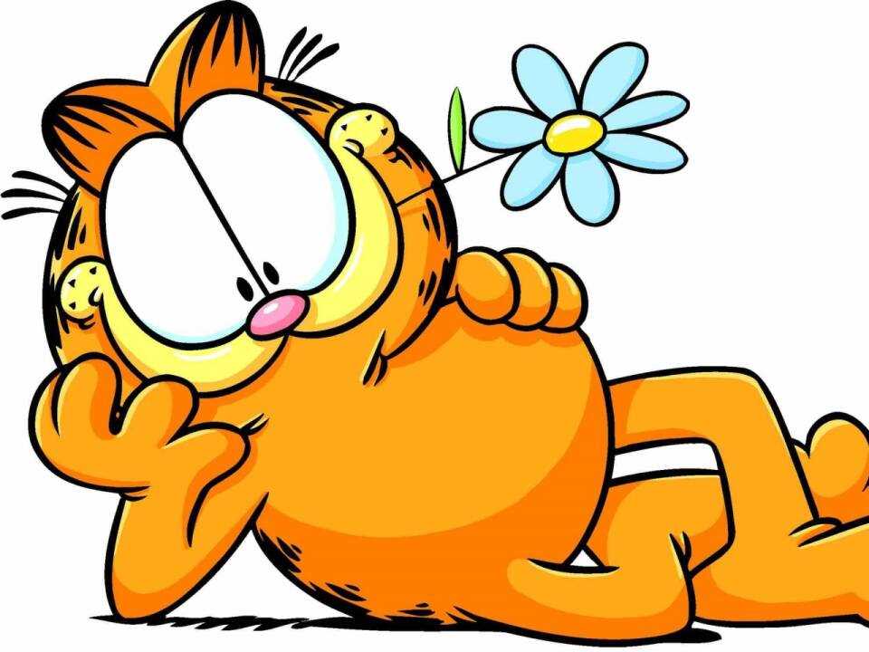 Odies Beziehung zu Garfield