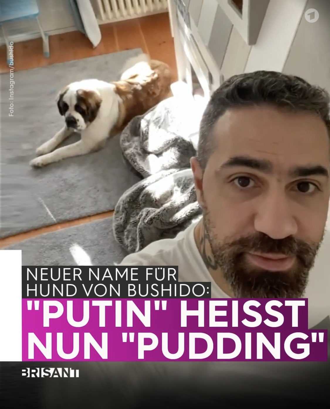 Die Reaktion der Fans auf den Hund