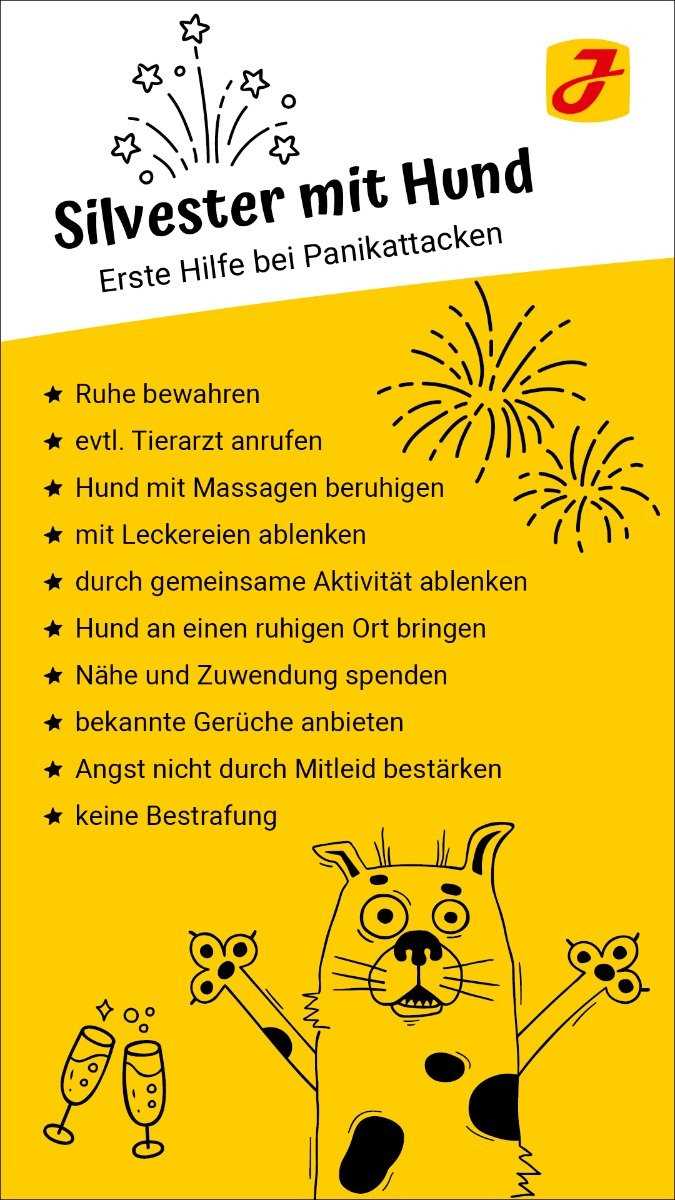 Während der Silvesternacht