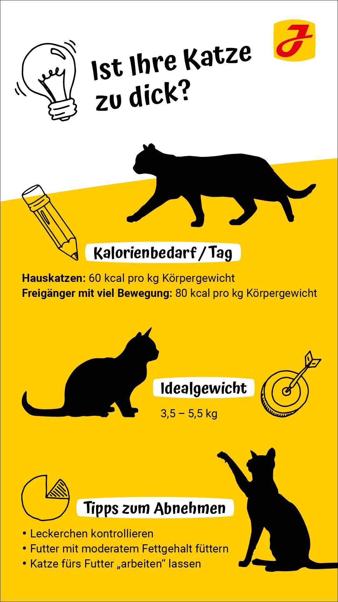 Wie kann meine Katze abnehmen? Tipps und Tricks für eine gesunde Gewichtsreduktion