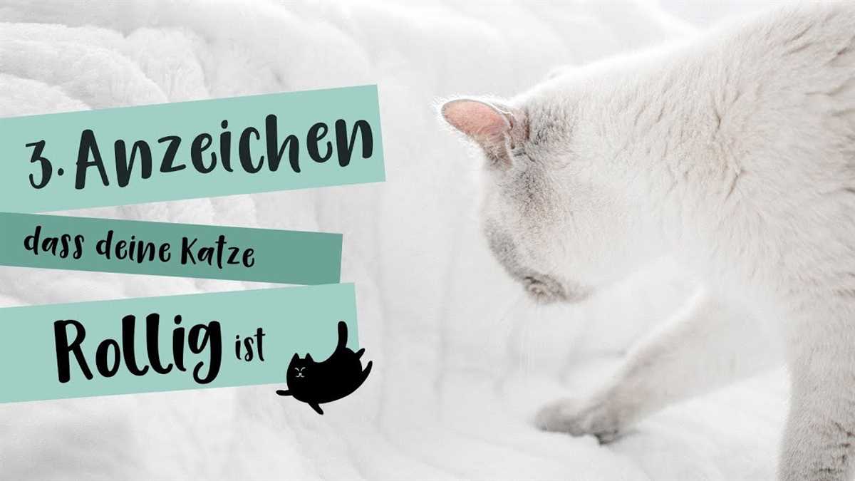 Wie verhalten sich rollige Katzen?