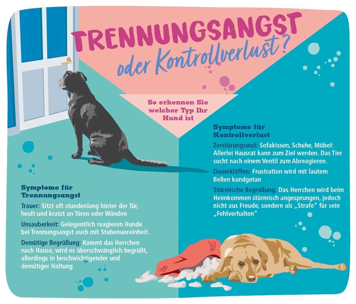 Tipps für das richtige Alleinlassen von Hunden