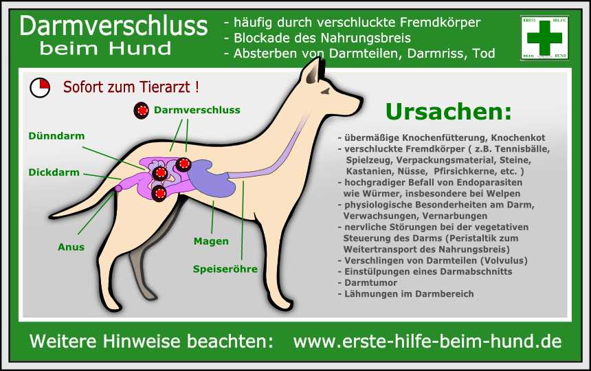 5. Wassertaufnahme