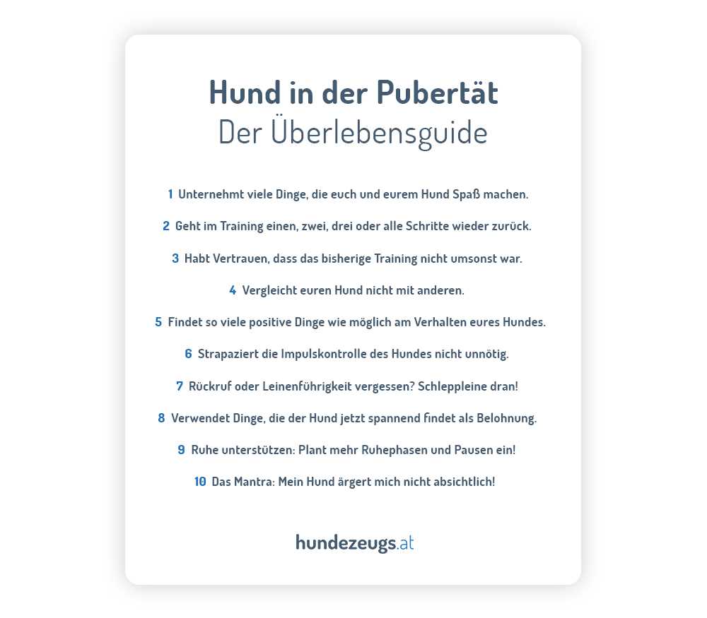 Wie lange dauert die Pubertät bei Hunden? Alles, was Sie wissen müssen