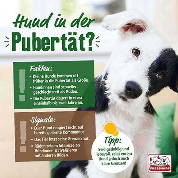 Dauer der Pubertätsphase