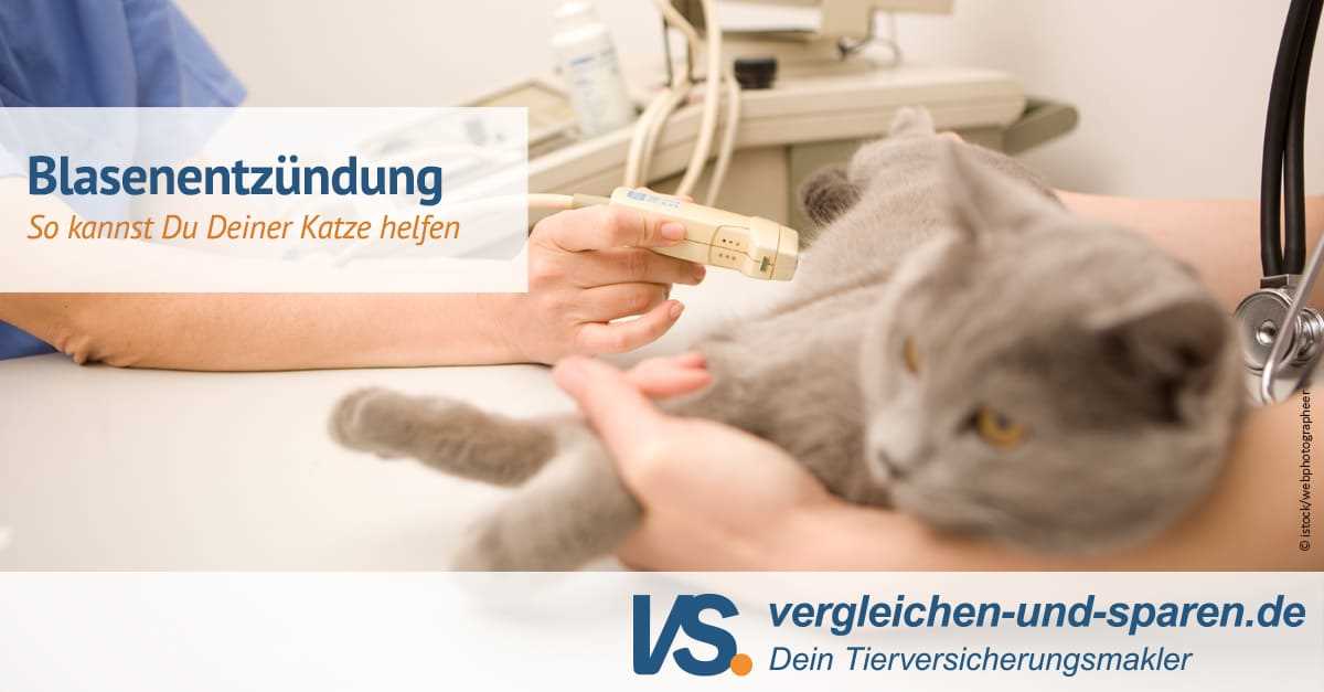 3. Behandlung und medizinische Versorgung