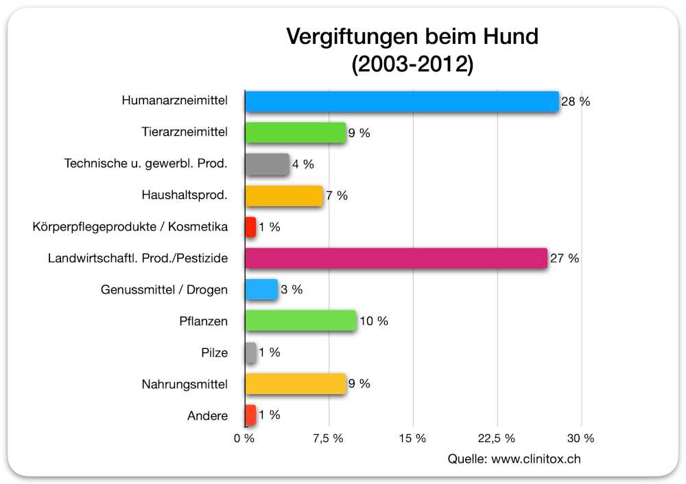 Behandlung einer Vergiftung beim Hund