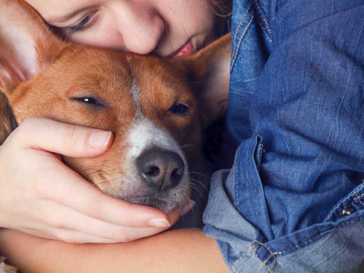 Wie lange dauert Sterben beim Hund? Tipps zur Sterbebegleitung