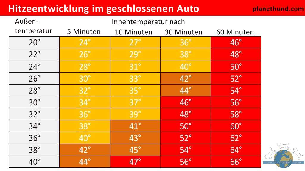 3. Tierfreundliche Geschäfte und Restaurants