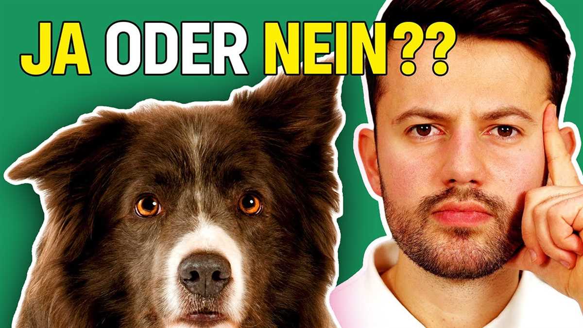 Wie lange Hund nach Kastration schonen: Tipps und Empfehlungen