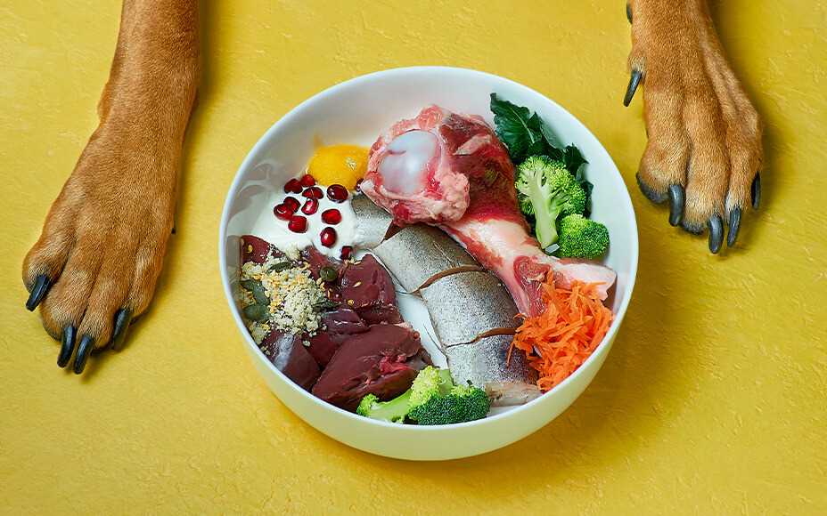 Wie lange sollte man Hühnchen für Hunde kochen?