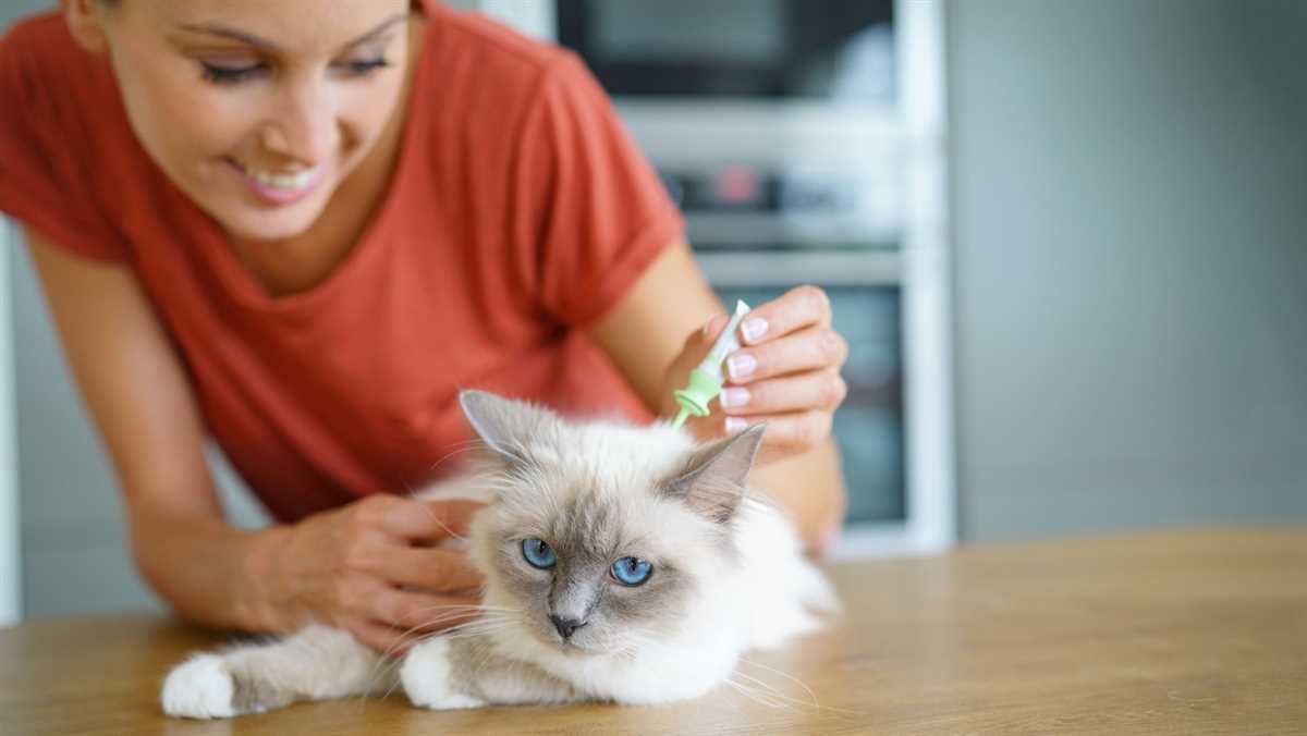 Wie lange überleben Würmer außerhalb der Katze? Die Lebensdauer von Würmern außerhalb des Körpers der Katze