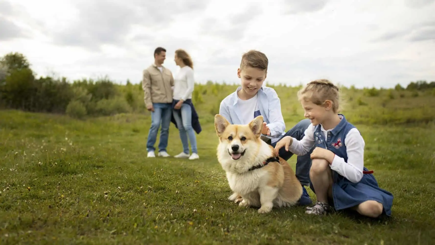 Wie lange zahlt ein Hund als Welpe