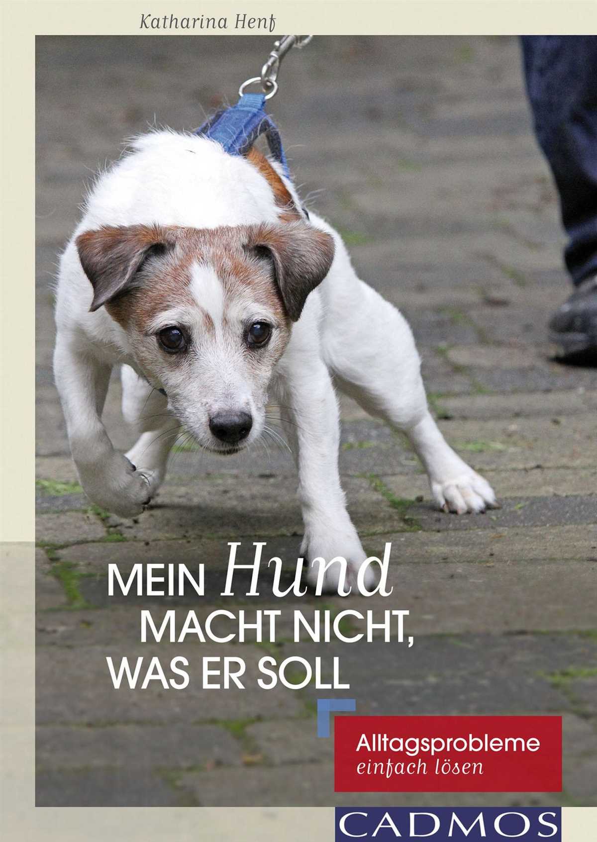 Kommunikation mit Hunden