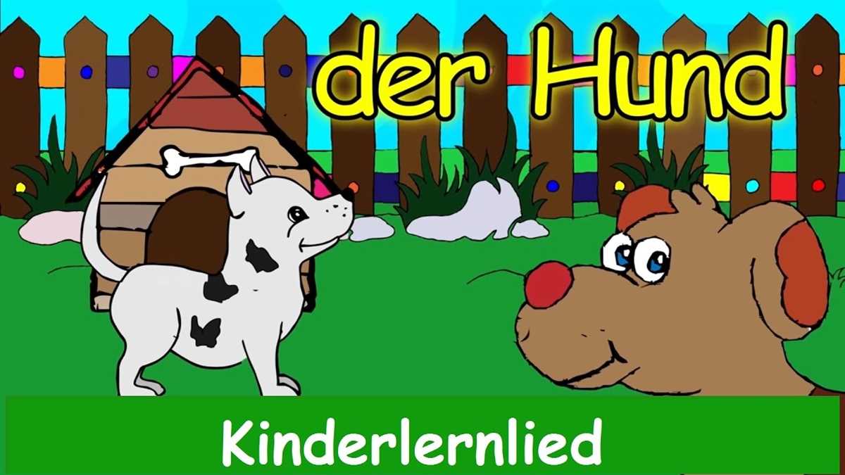 Die Sprache der Hunde: Lautäußerungen und Kommunikation