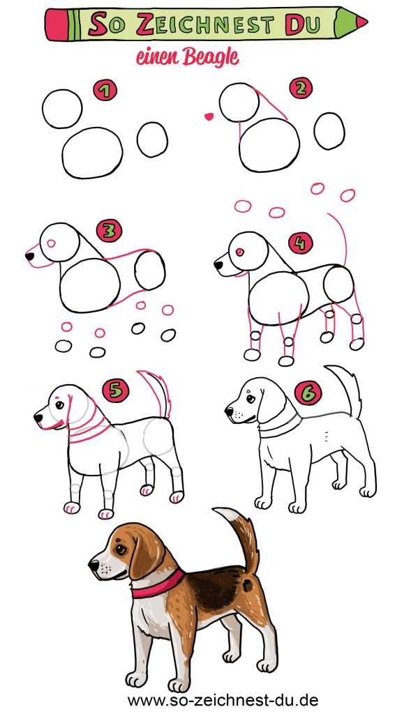 Schritt 1: Die Grundform des Hundes zeichnen
