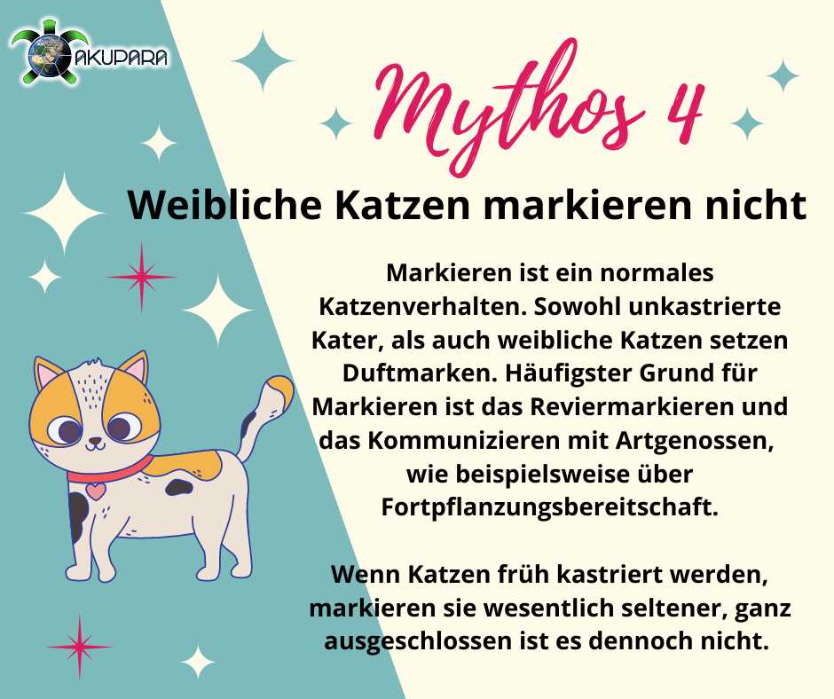 Warum markieren weibliche Katzen ihr Revier?