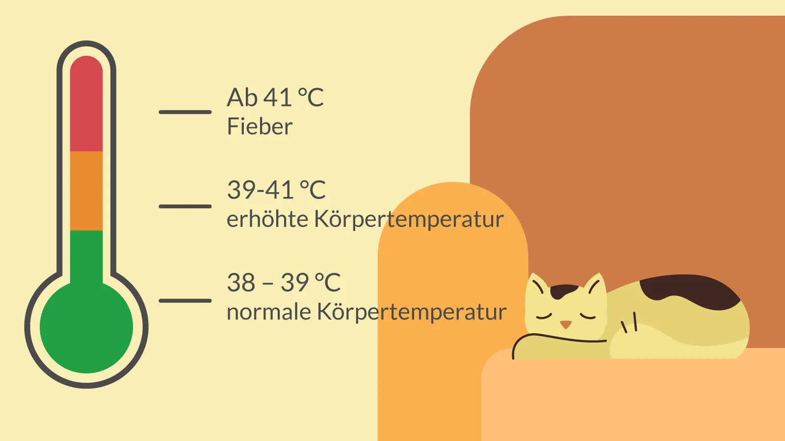 Die Bedeutung der Körpertemperatur bei Katzen