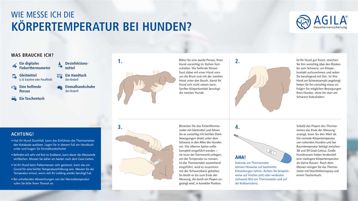 Ohrthermometer