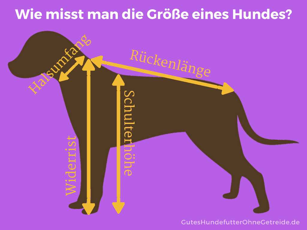 Methode 1: Die Widerristhöhe messen