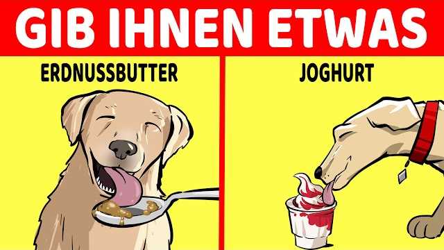 Die richtige Menge Joghurt für deinen Hund