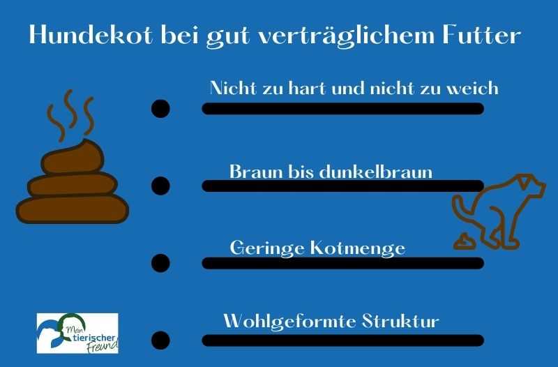 Wie oft hat ein Hund Stuhlgang und was ist normal?