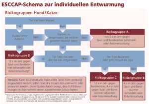 Wie oft sollte man einen erwachsenen Hund entwurmen?