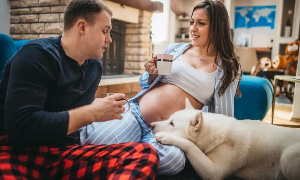 Training des Hundes für den Umgang mit einem neugeborenen Baby