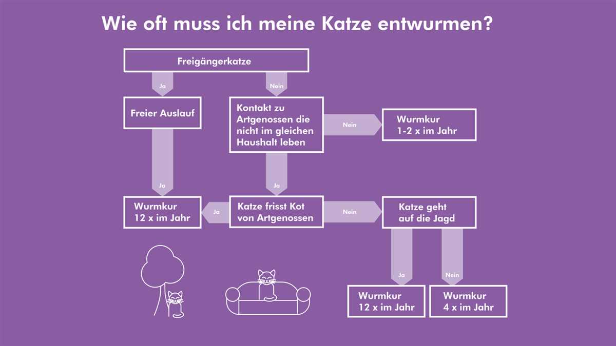 Wie schnell wirkt eine Wurmkur bei Katzen? Experten beantworten Ihre Fragen