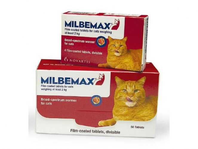 Wie schnell wirkt Milbemax für Katzen?