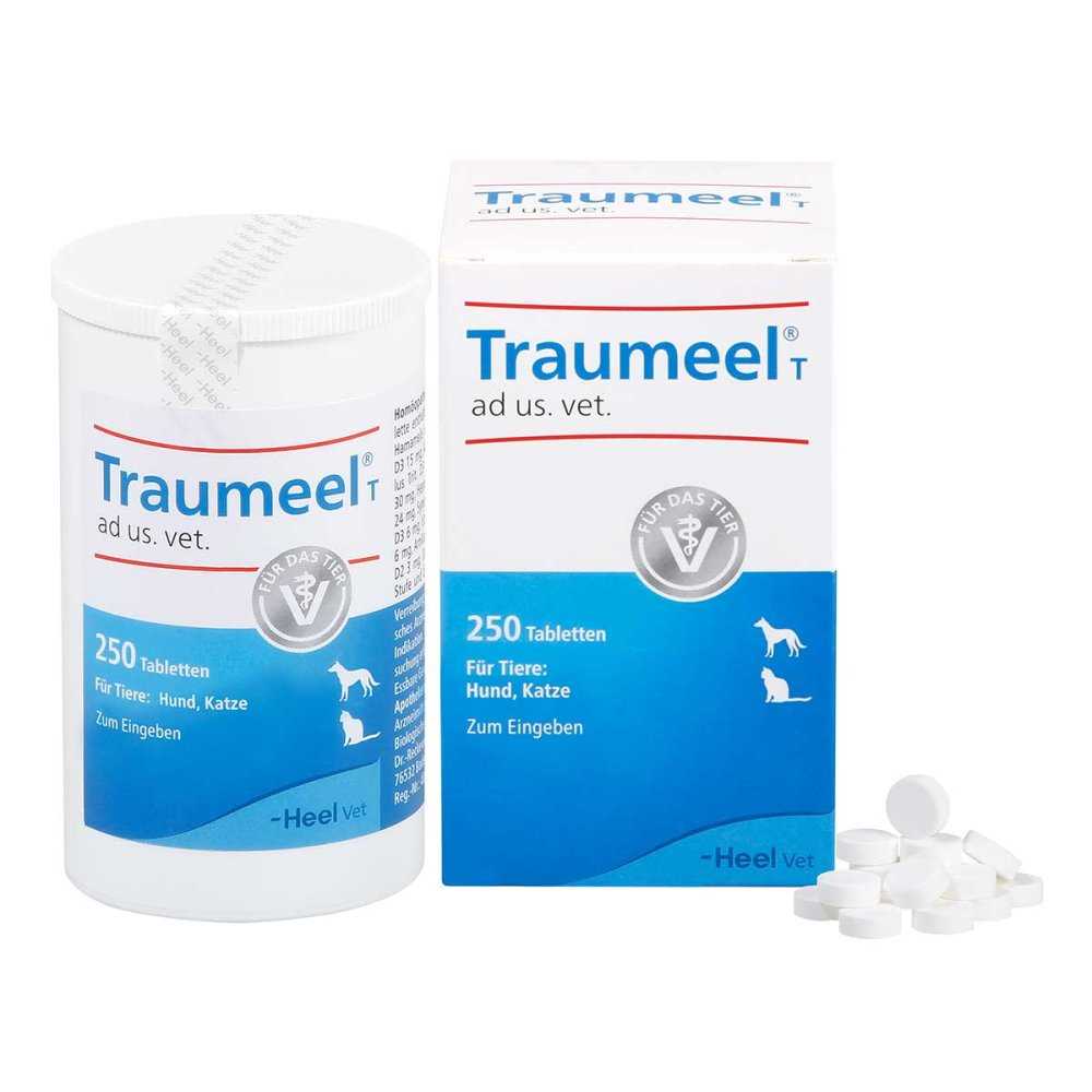 Traumeel Tabletten