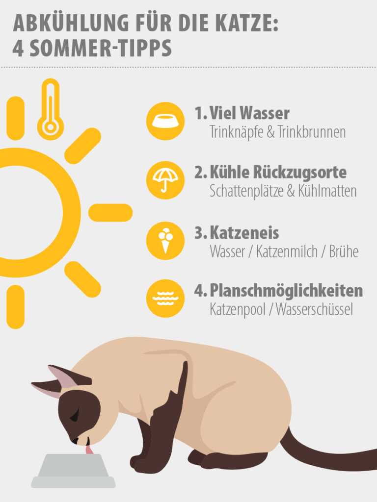 Wann sollte man zum Tierarzt gehen?