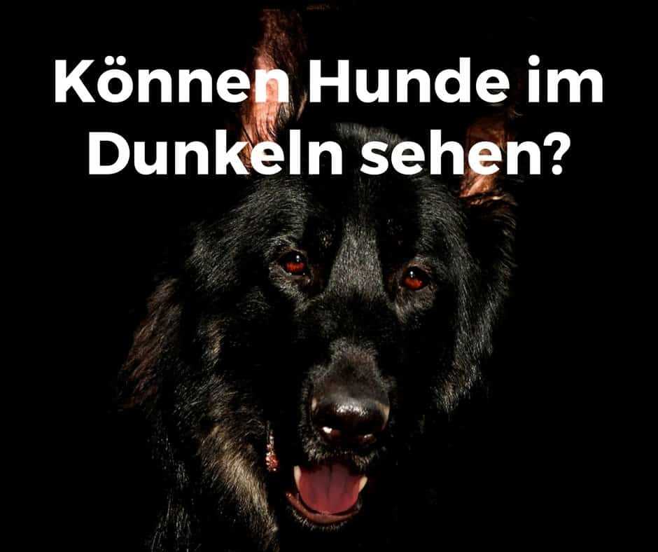 Bessere Sicht bei Dunkelheit