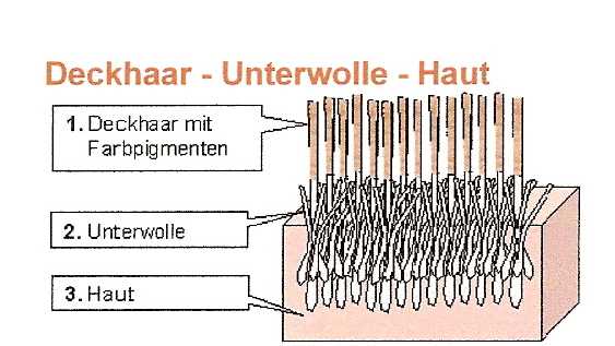 Tipps zur Pflege der Unterwolle