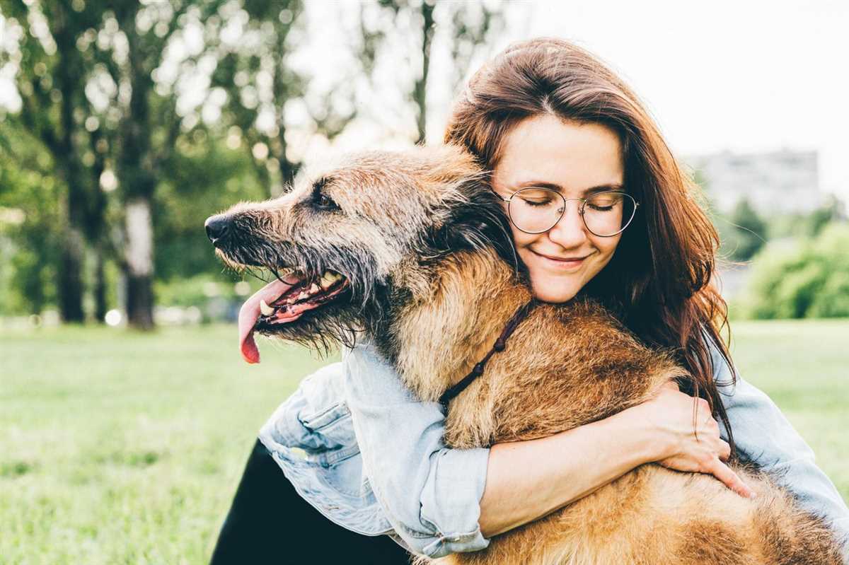 2. Den Hund vorsichtig und sicher anheben