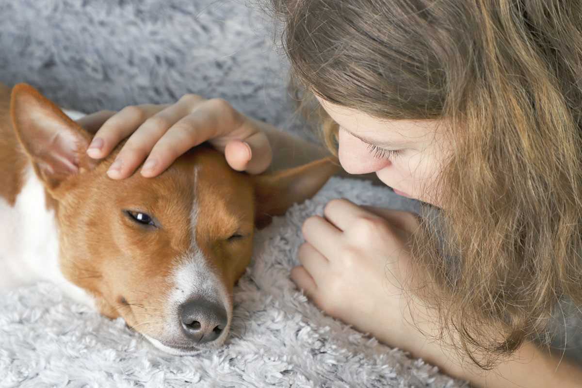 3. Unterstützung bei Entscheidungen am Lebensende