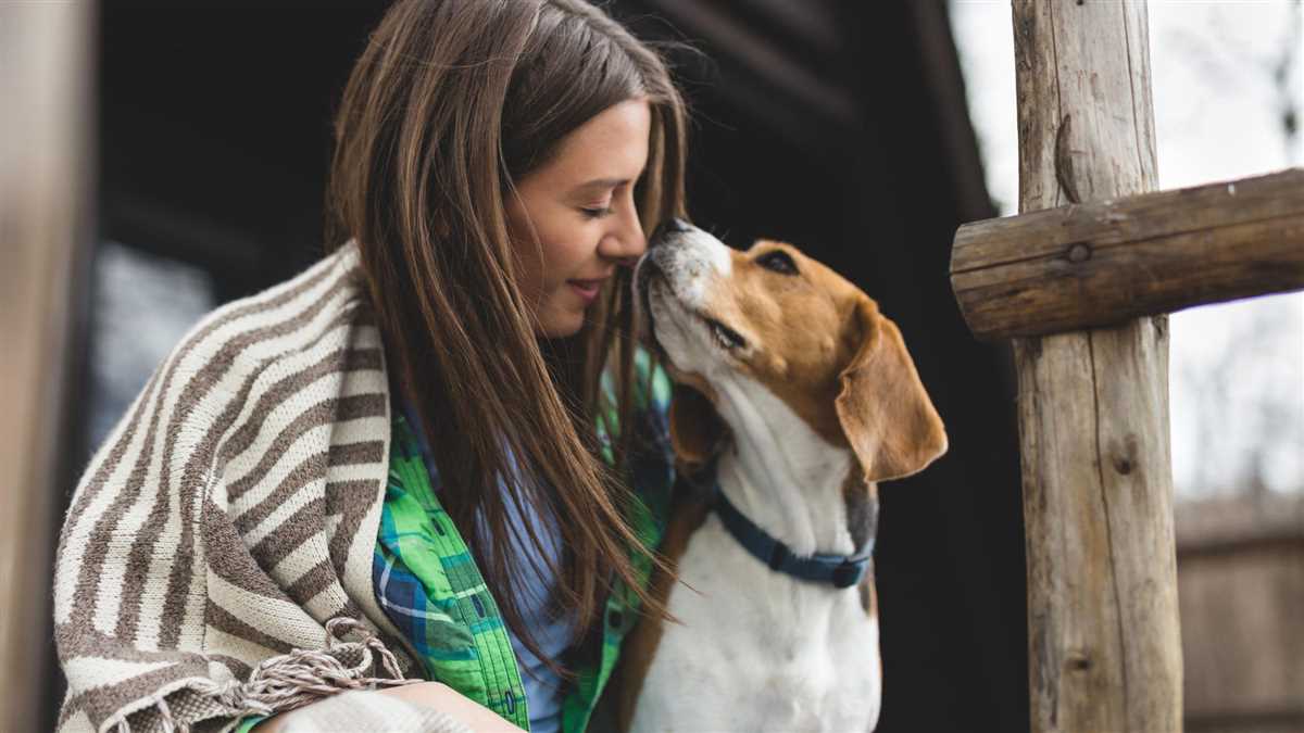 Wie viel Aufmerksamkeit braucht ein Hund?